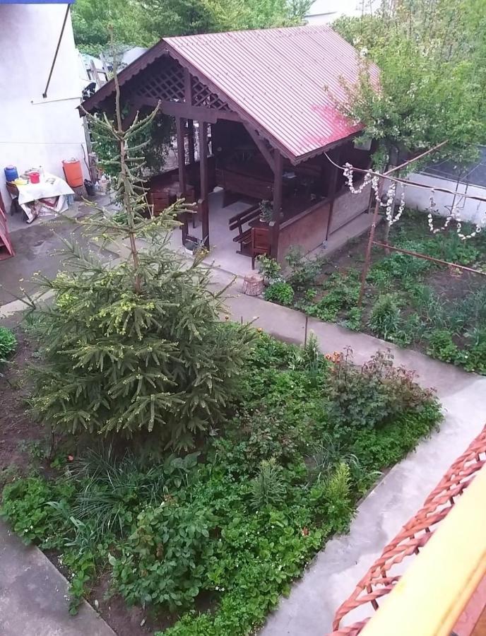 Pensiune La Rodica Costinesti Exterior foto